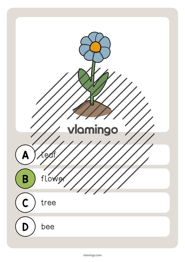 de englisch garden vocabulary quiz 006