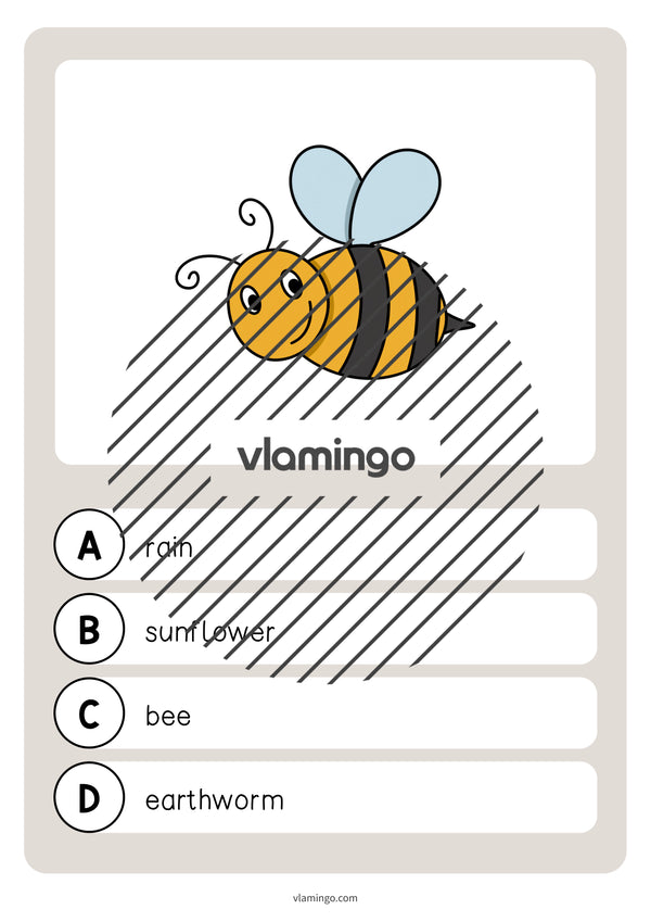 de englisch garden vocabulary quiz 009