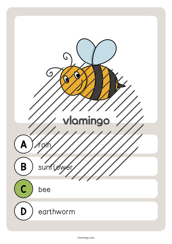 de englisch garden vocabulary quiz 010
