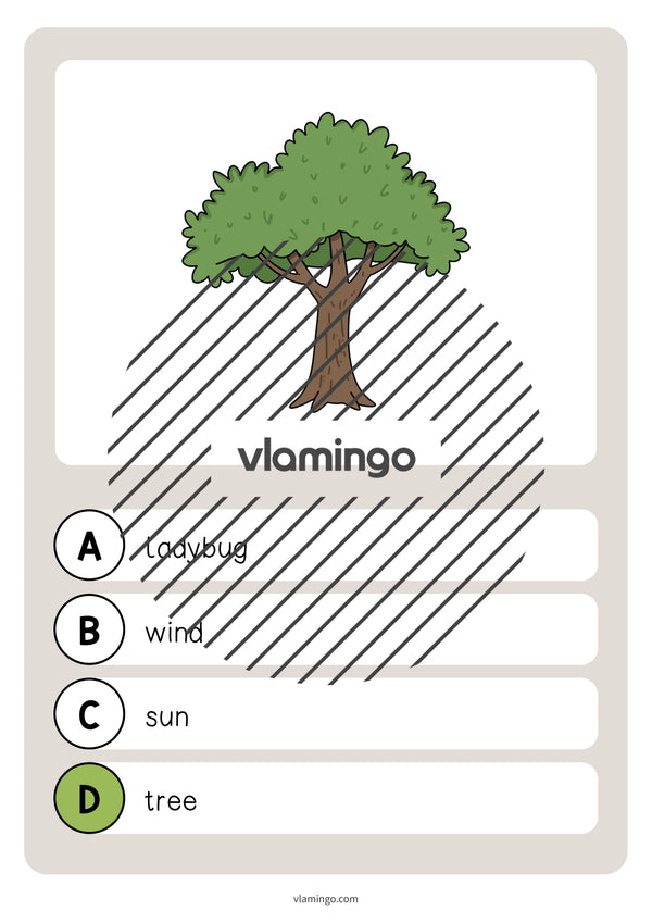 de englisch garden vocabulary quiz 012