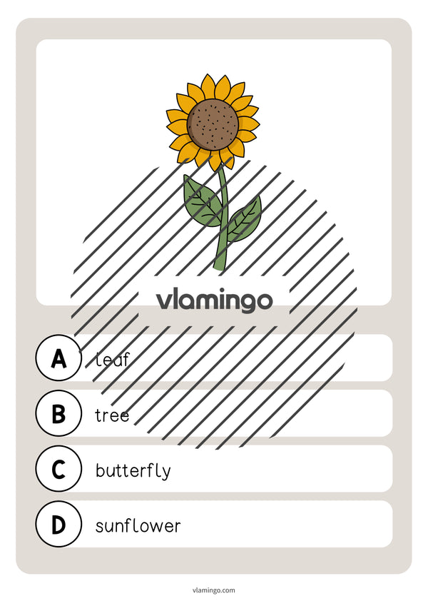 de englisch garden vocabulary quiz 019