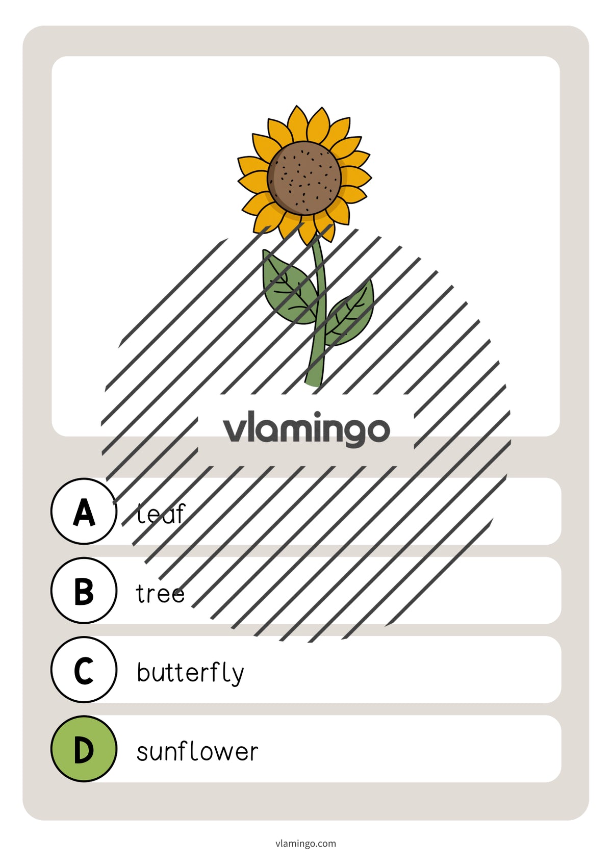 de englisch garden vocabulary quiz 020