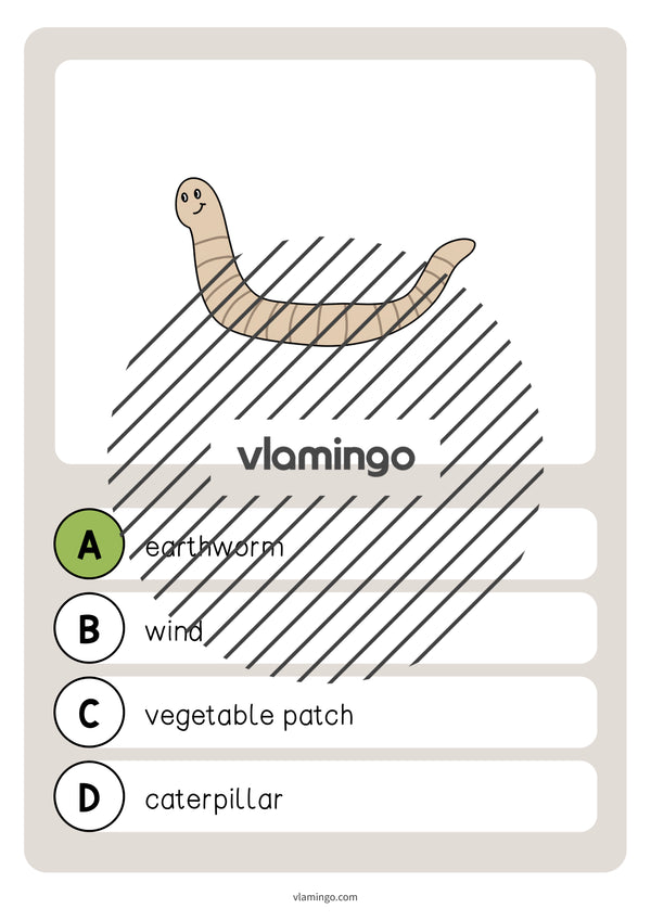 de englisch garden vocabulary quiz 022