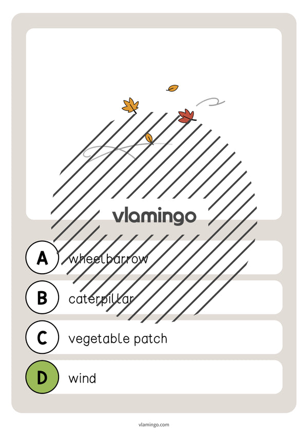 de englisch garden vocabulary quiz 026