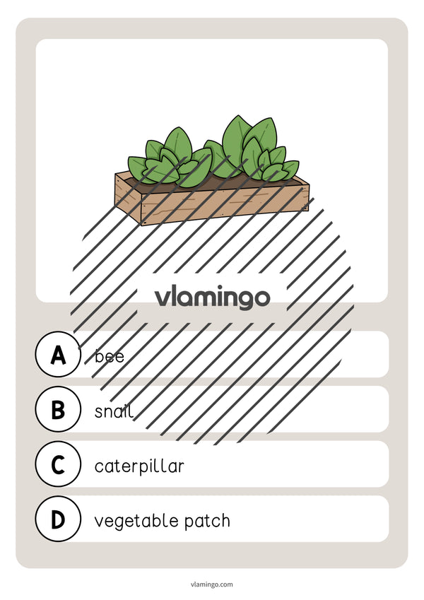 de englisch garden vocabulary quiz 029