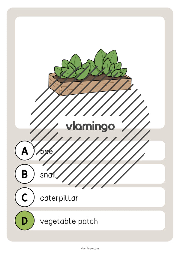 de englisch garden vocabulary quiz 030