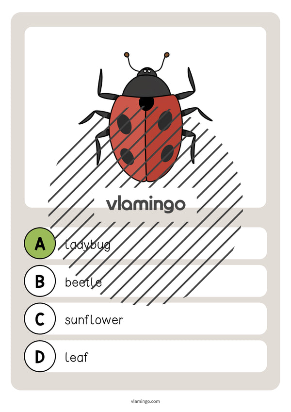 de englisch garden vocabulary quiz 032