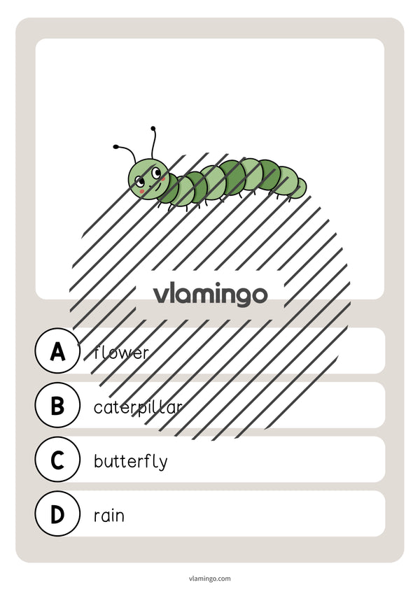 de englisch garden vocabulary quiz 033