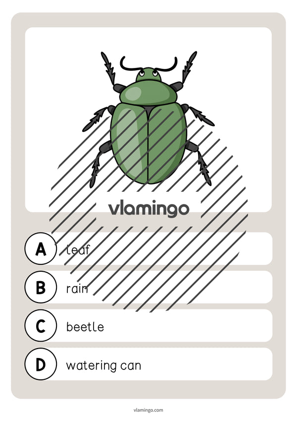 de englisch garden vocabulary quiz 043