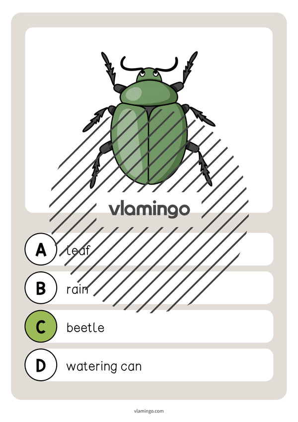 de englisch garden vocabulary quiz 044