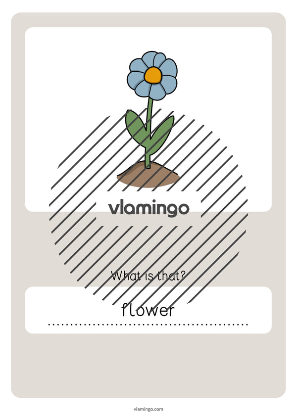 de englisch garden vocabulary quiz 047