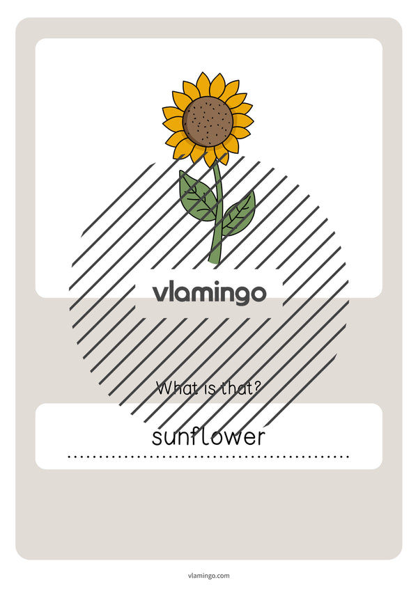 de englisch garden vocabulary quiz 061