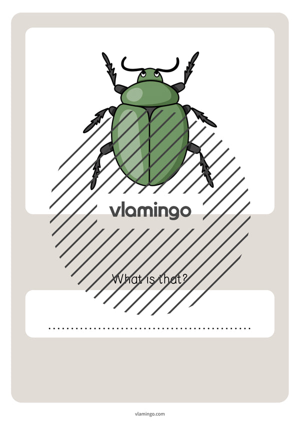 de englisch garden vocabulary quiz 084