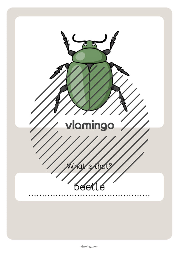 de englisch garden vocabulary quiz 085