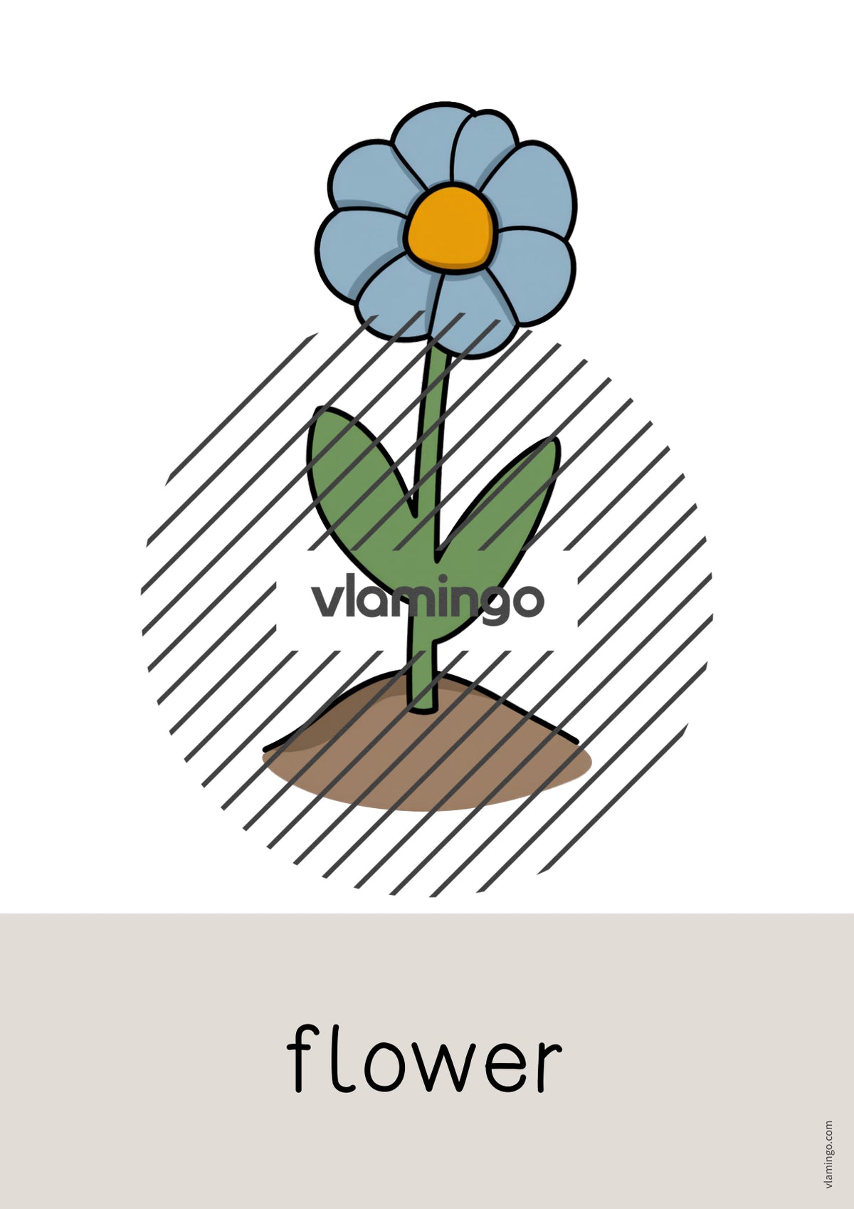 de englisch garden word and picture cards 003