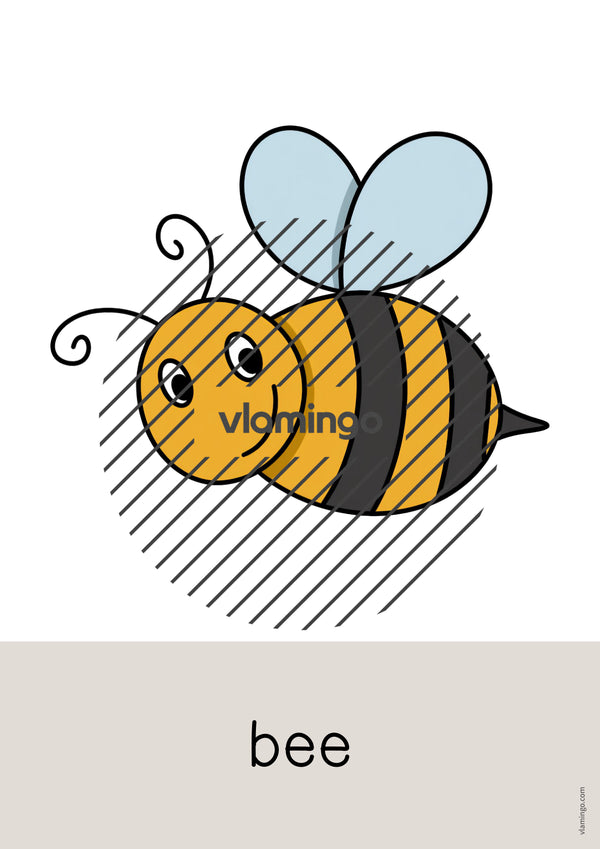 de englisch garden word and picture cards 005