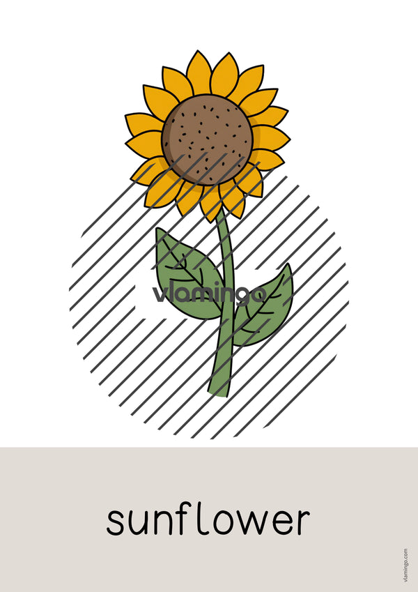 de englisch garden word and picture cards 010