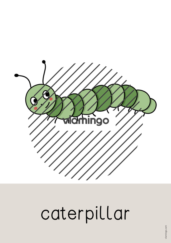 de englisch garden word and picture cards 017