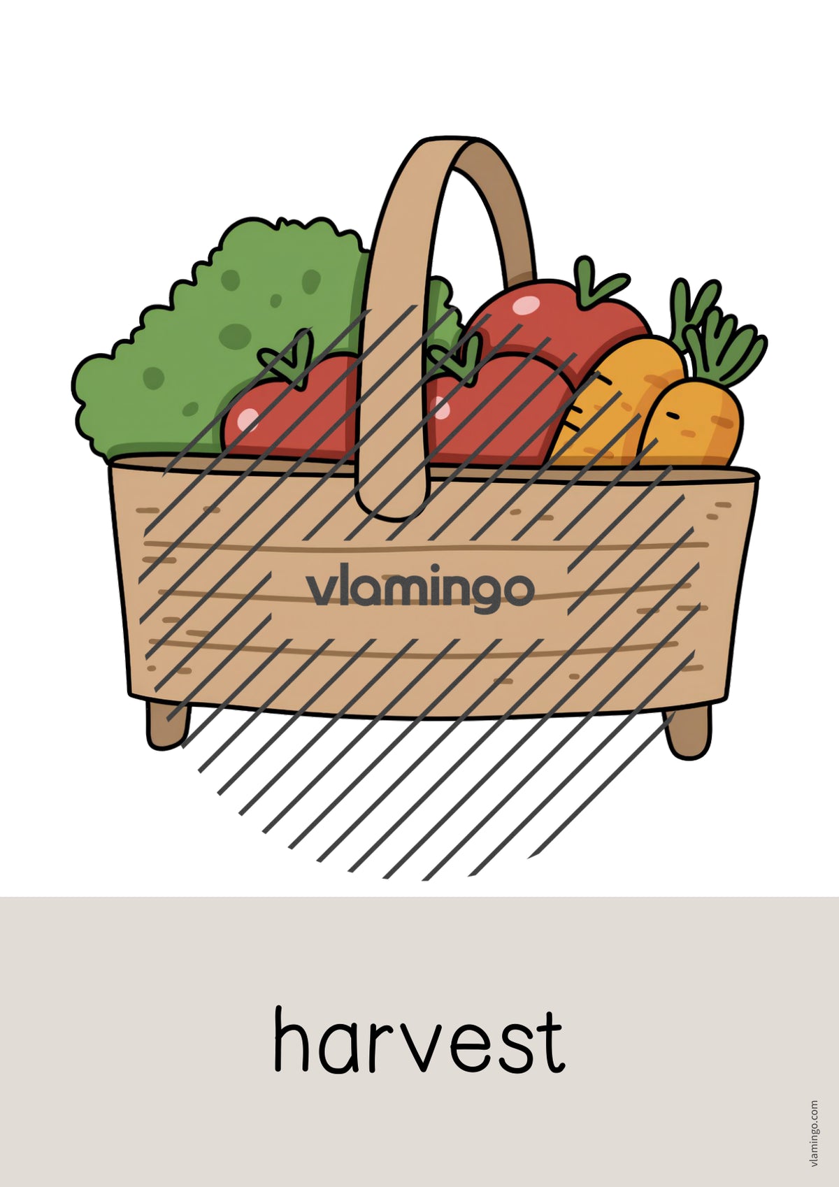 de englisch garden word and picture cards 049