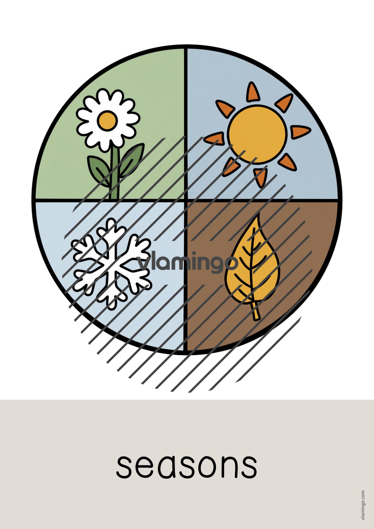 de englisch garden word and picture cards 059