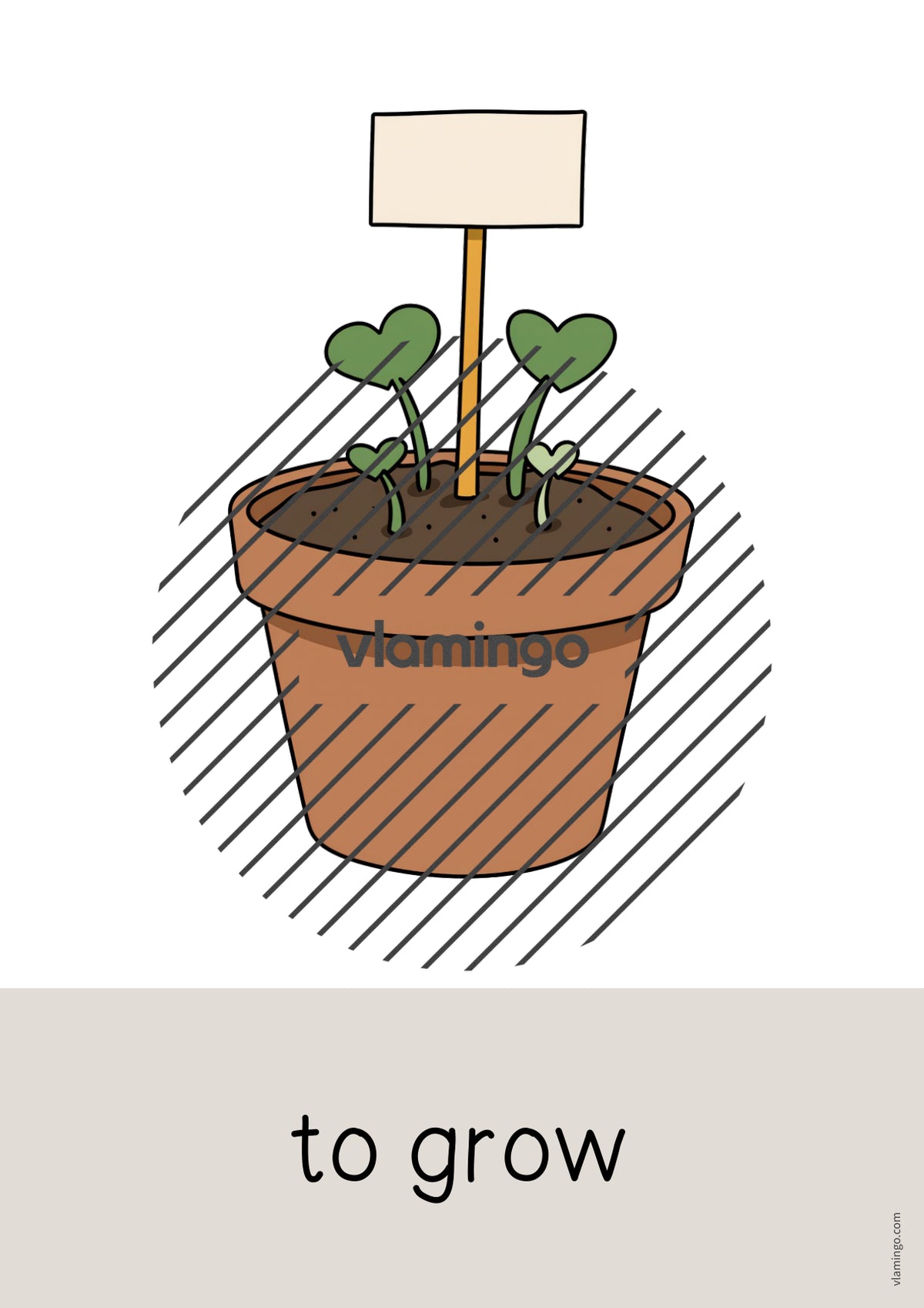 de englisch garden word and picture cards 062