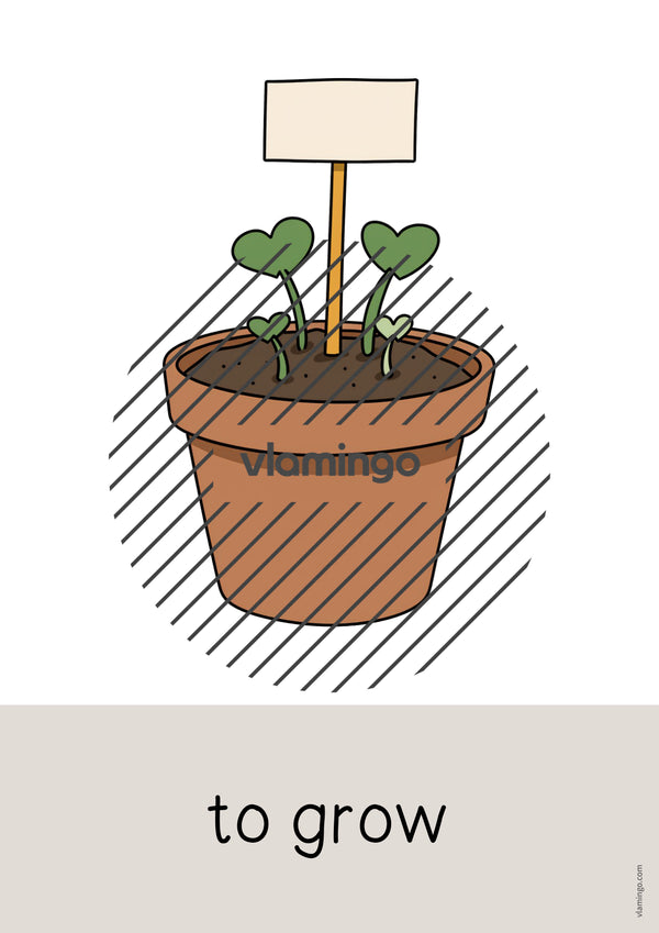 de englisch garden word and picture cards 062