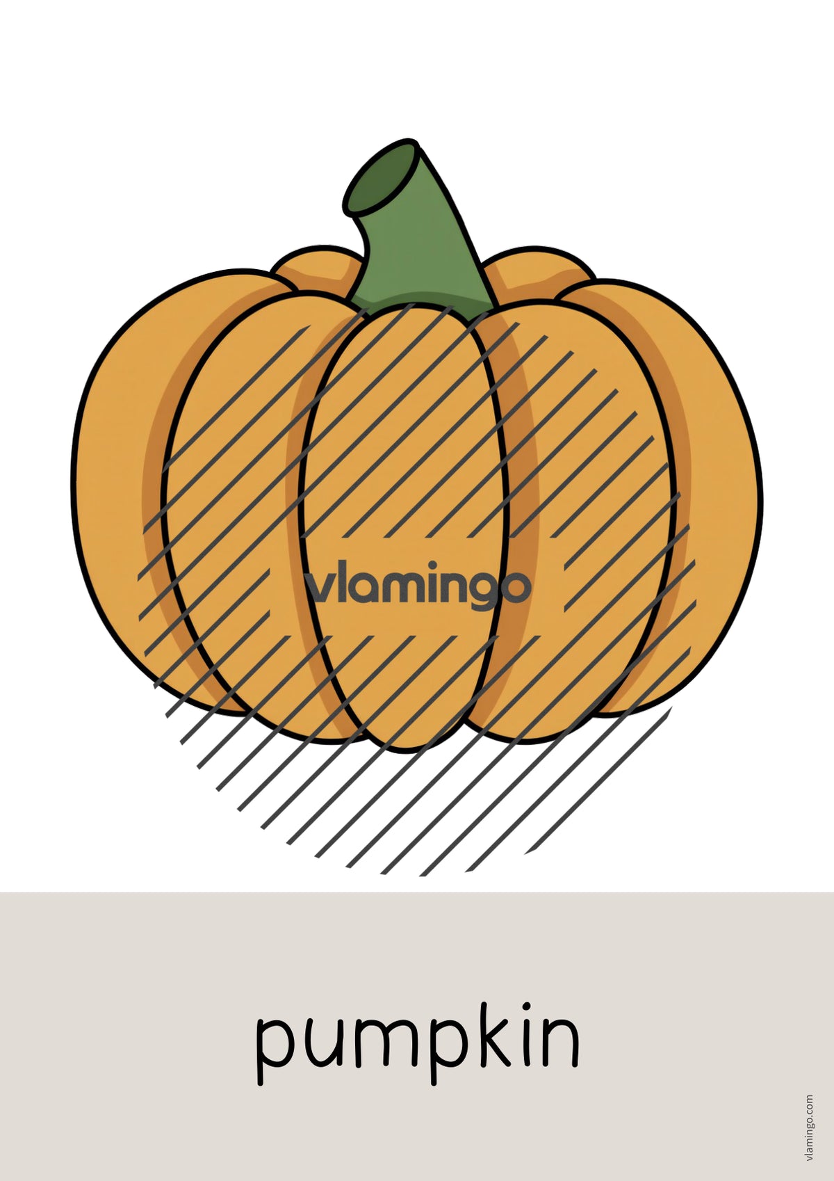 de englisch halloween word and picture cards 004