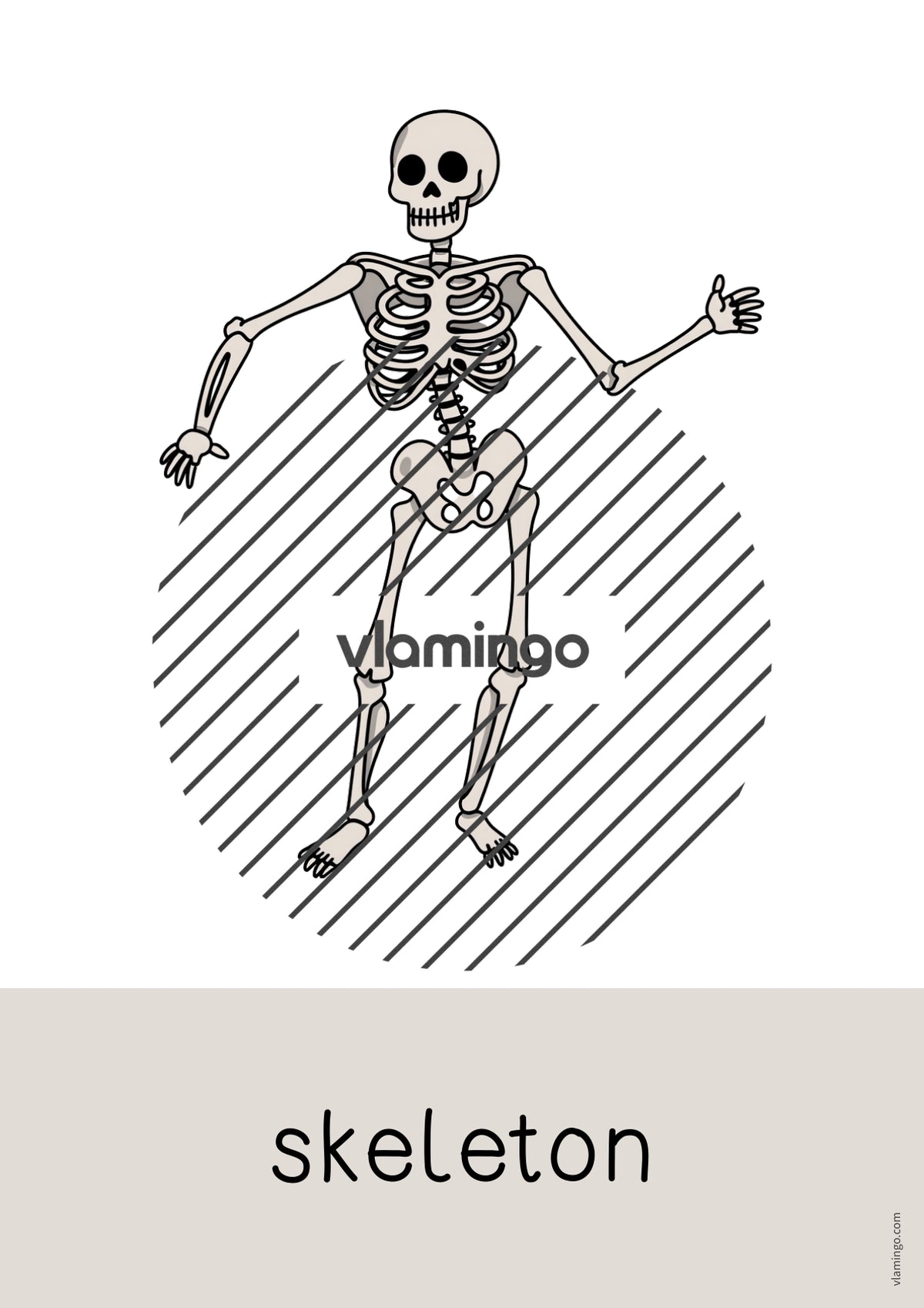 de englisch halloween word and picture cards 006