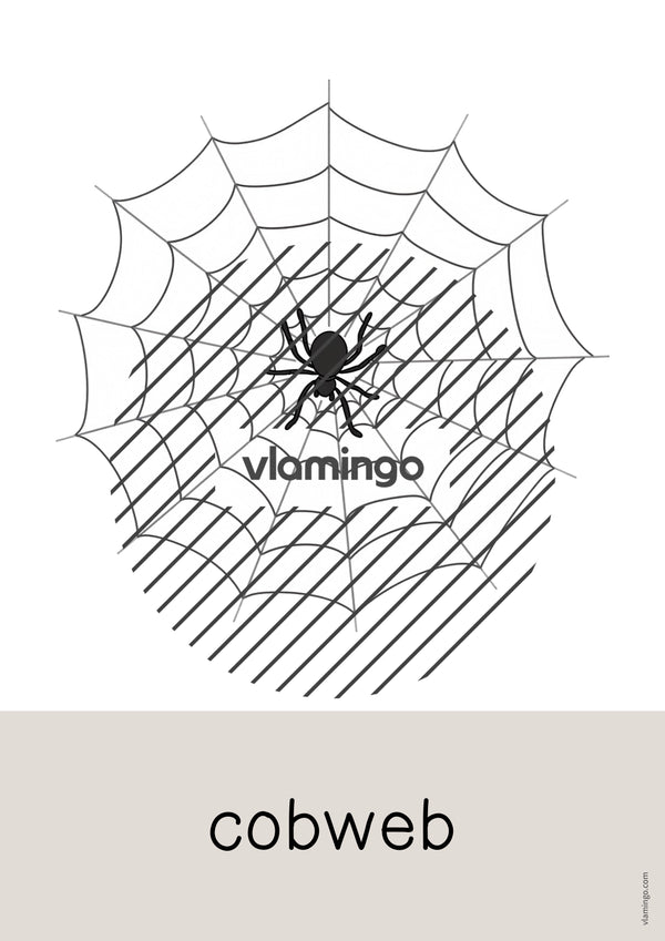 de englisch halloween word and picture cards 026