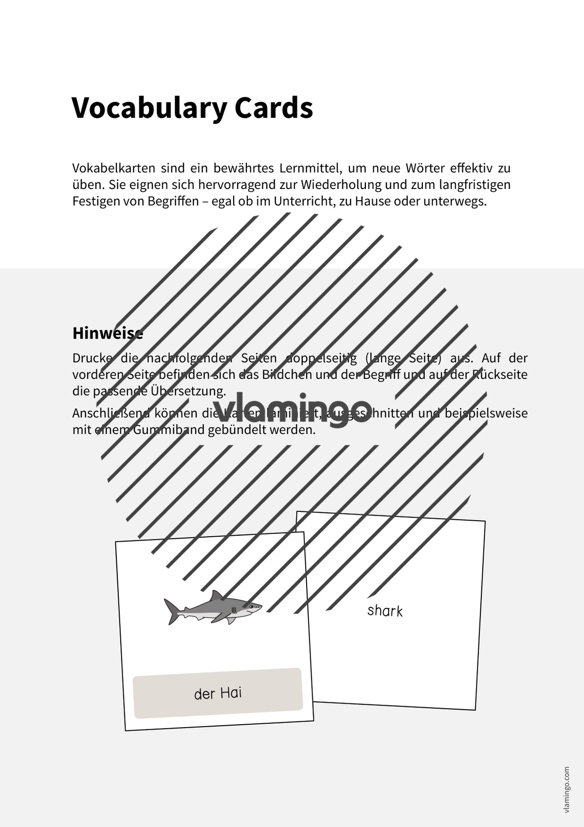 de englisch in the sea vocabulary cards 002