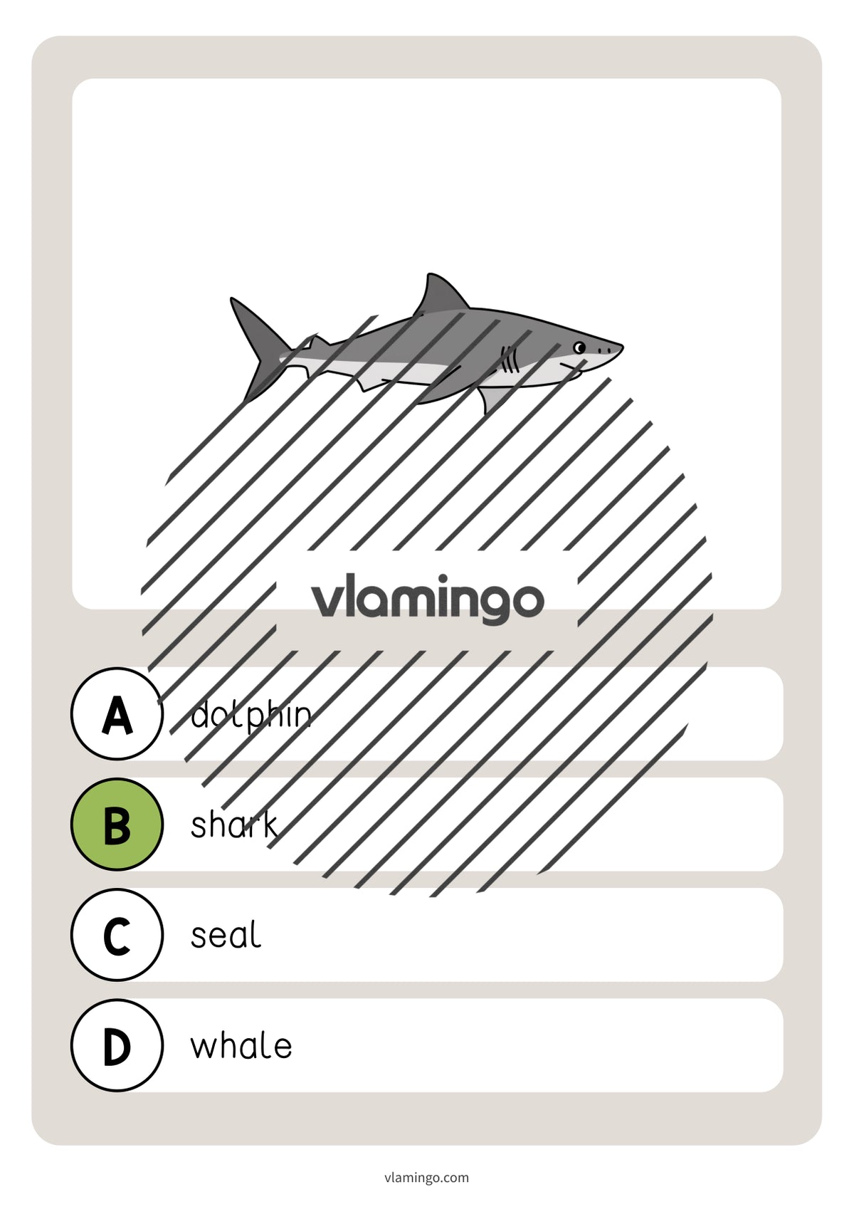 de englisch in the sea vocabulary quiz 006