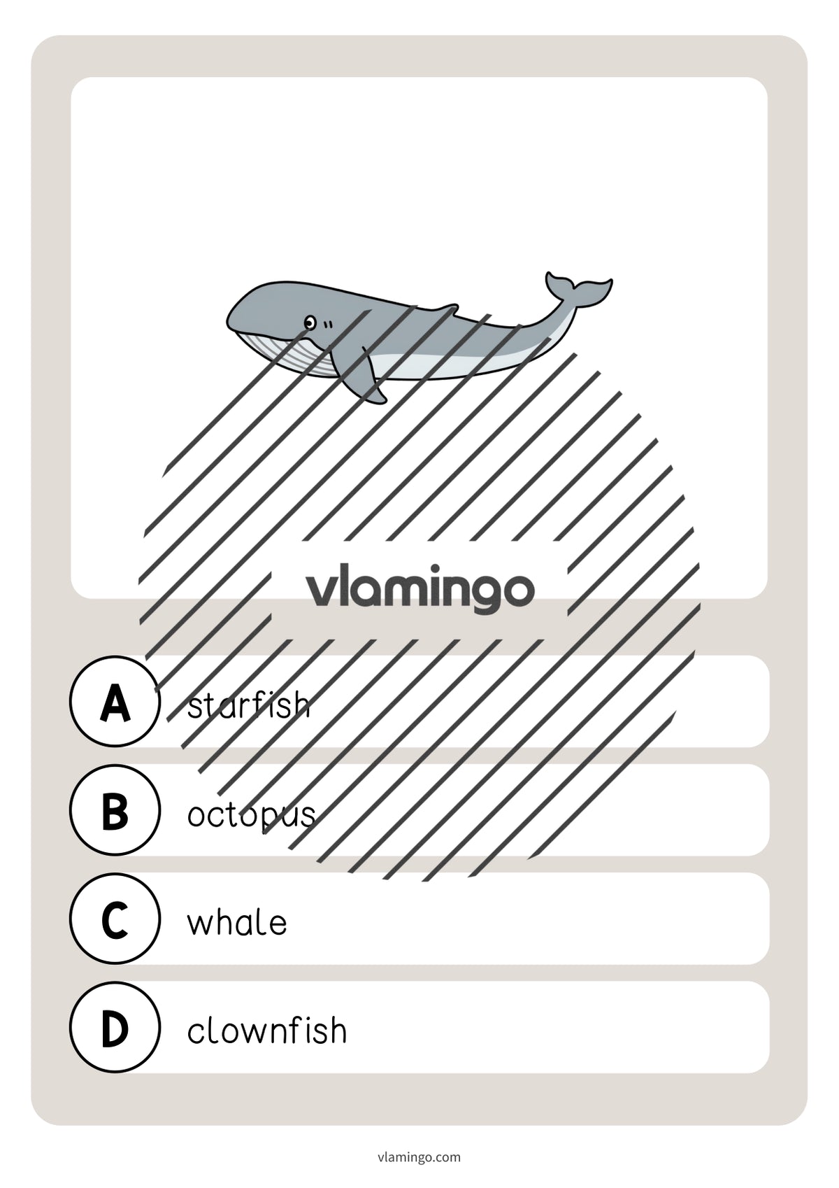 de englisch in the sea vocabulary quiz 009