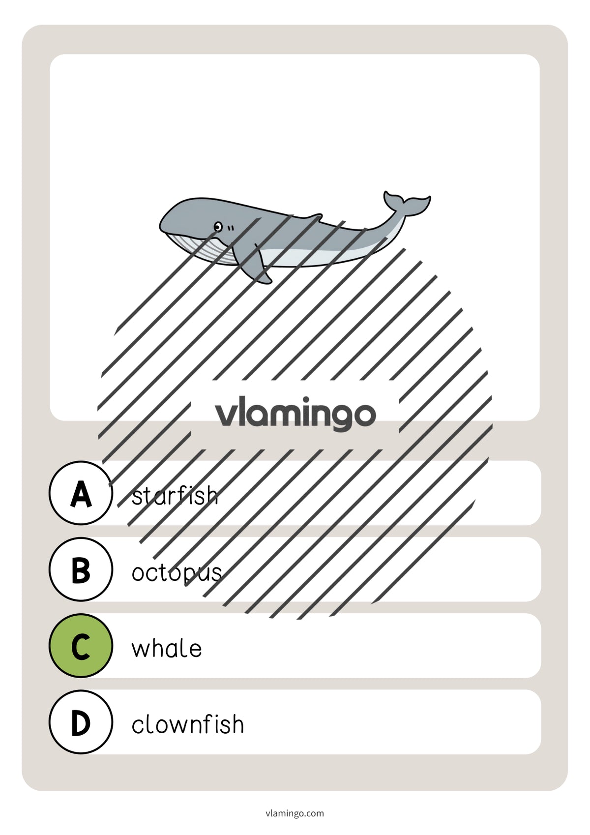 de englisch in the sea vocabulary quiz 010