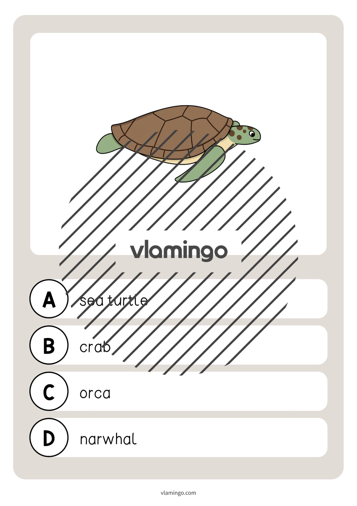 de englisch in the sea vocabulary quiz 013