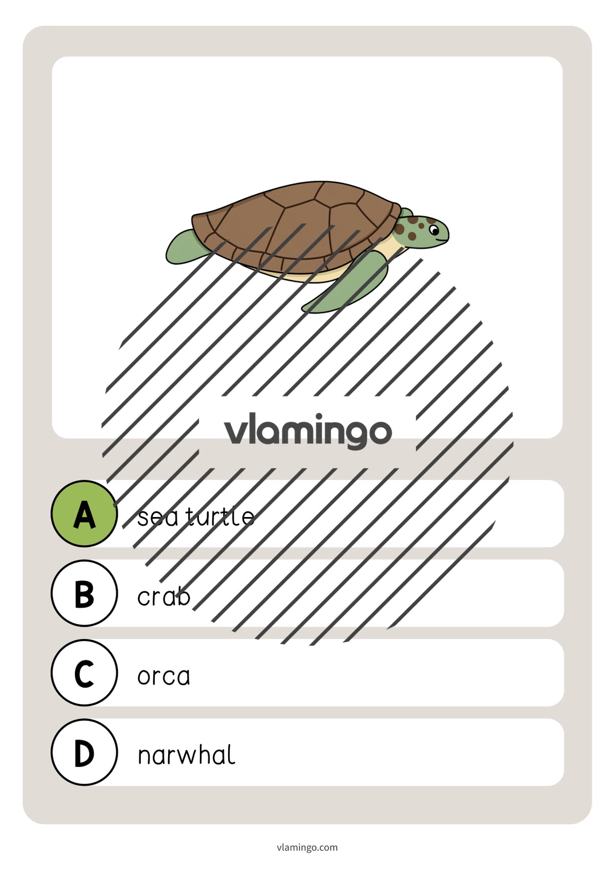 de englisch in the sea vocabulary quiz 014
