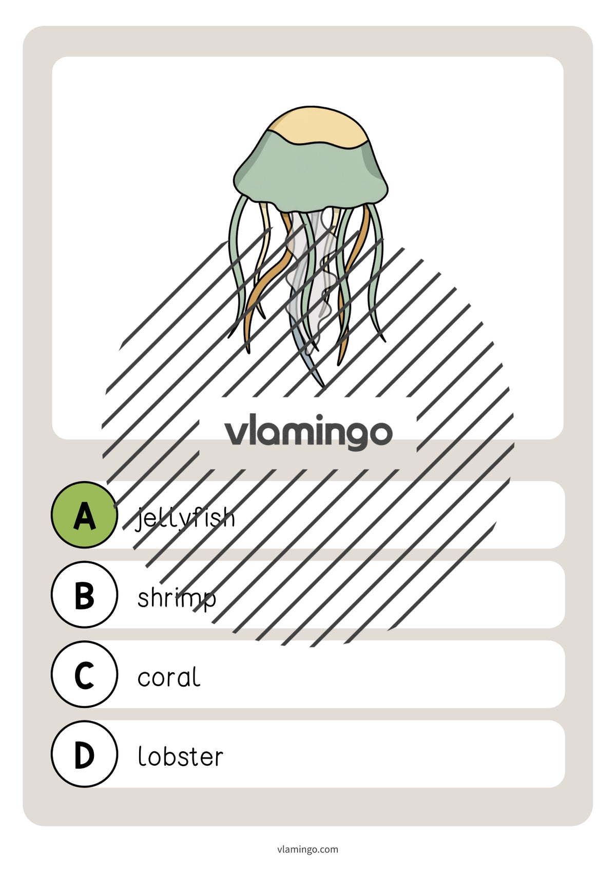 de englisch in the sea vocabulary quiz 016
