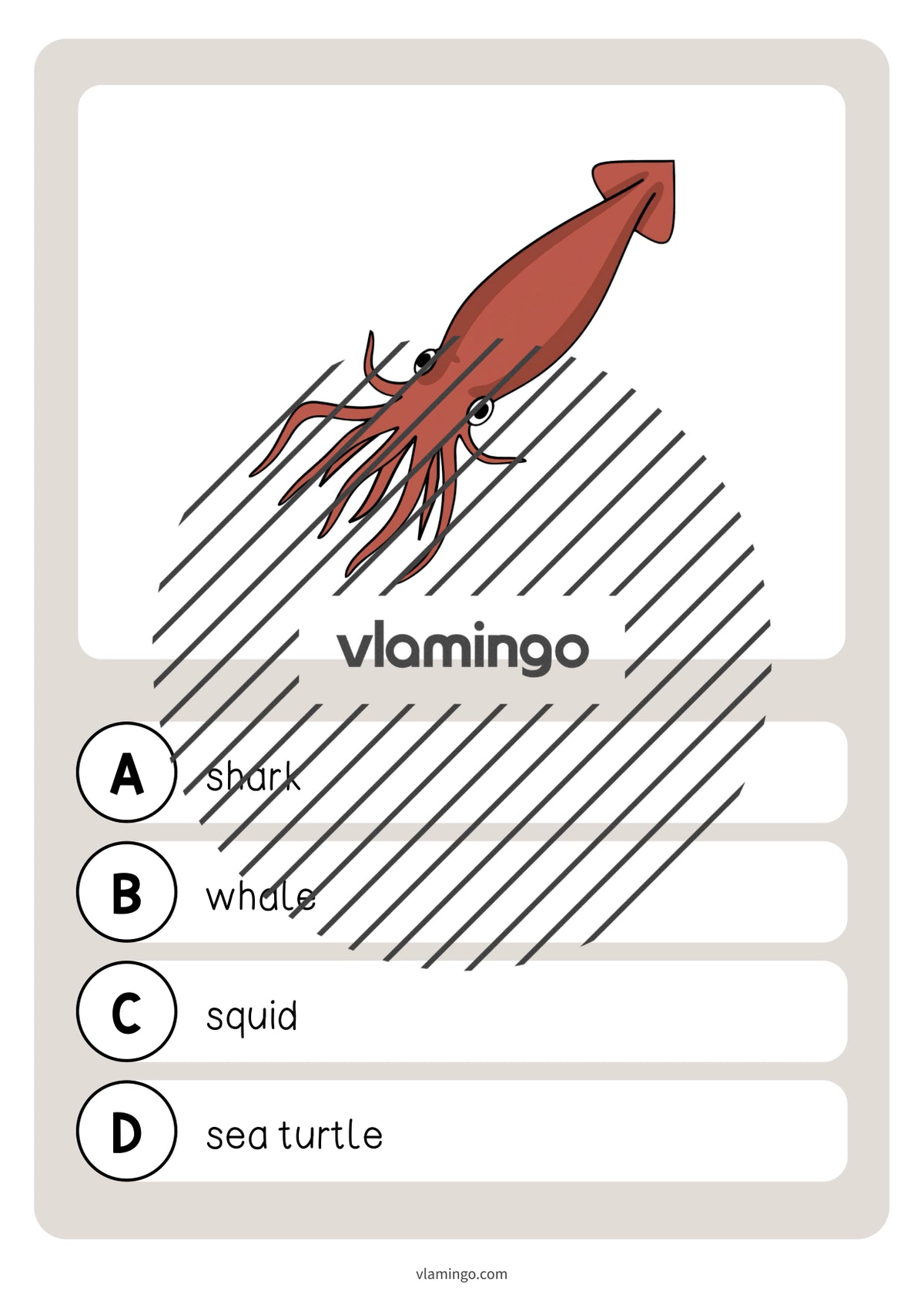 de englisch in the sea vocabulary quiz 017