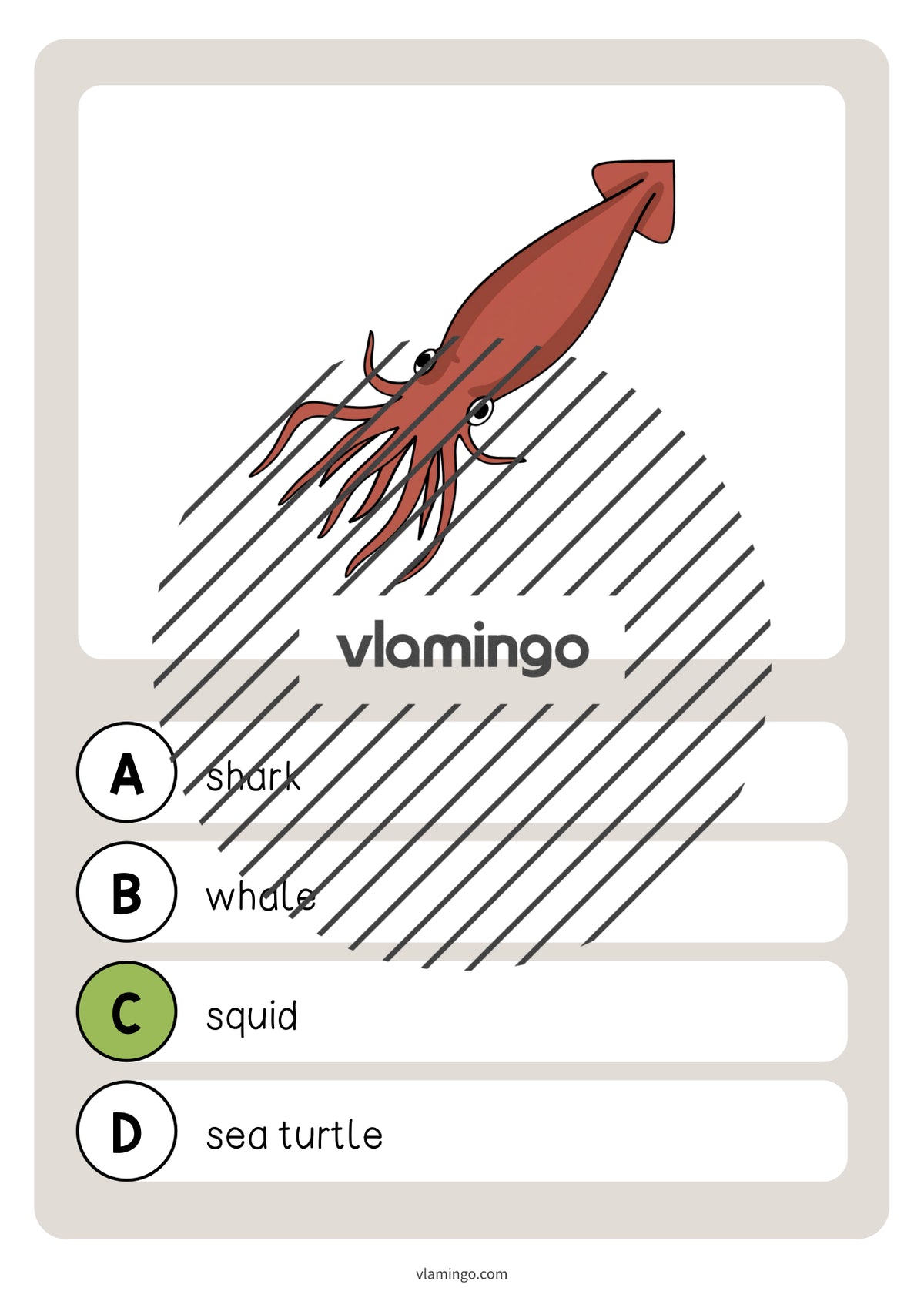 de englisch in the sea vocabulary quiz 018