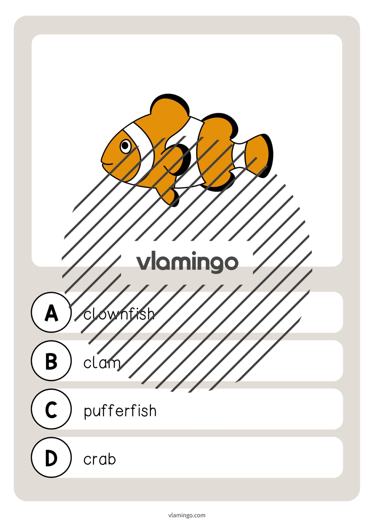 de englisch in the sea vocabulary quiz 021