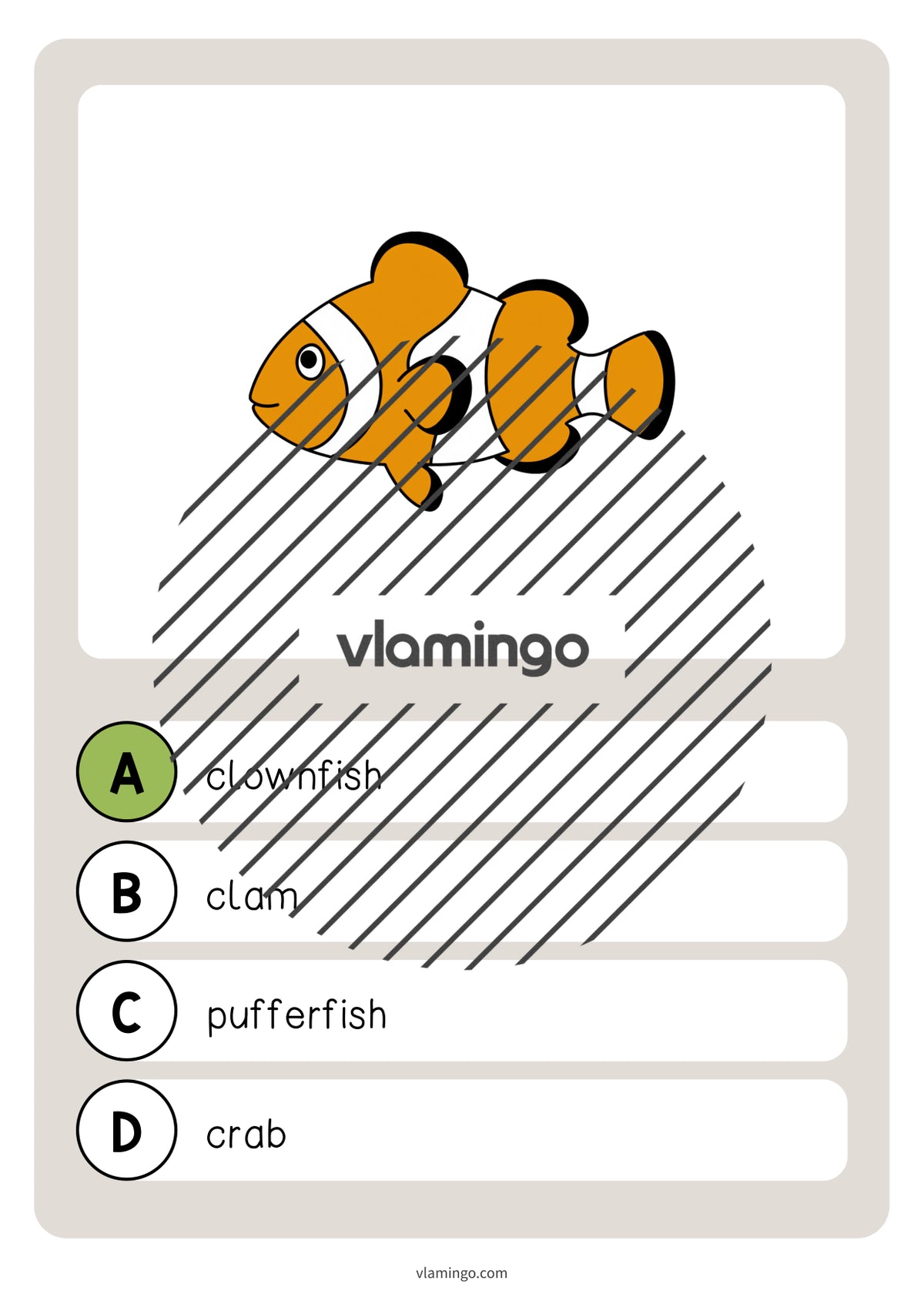 de englisch in the sea vocabulary quiz 022