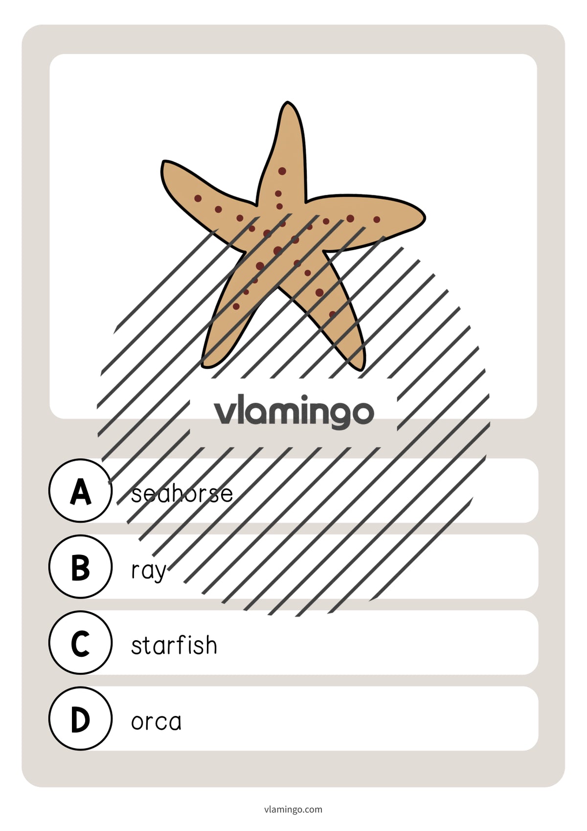 de englisch in the sea vocabulary quiz 023