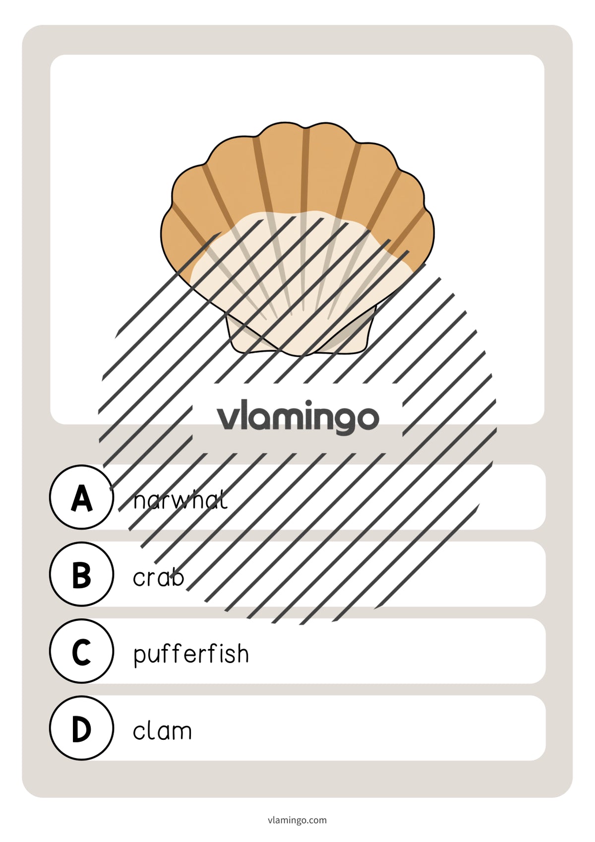 de englisch in the sea vocabulary quiz 025