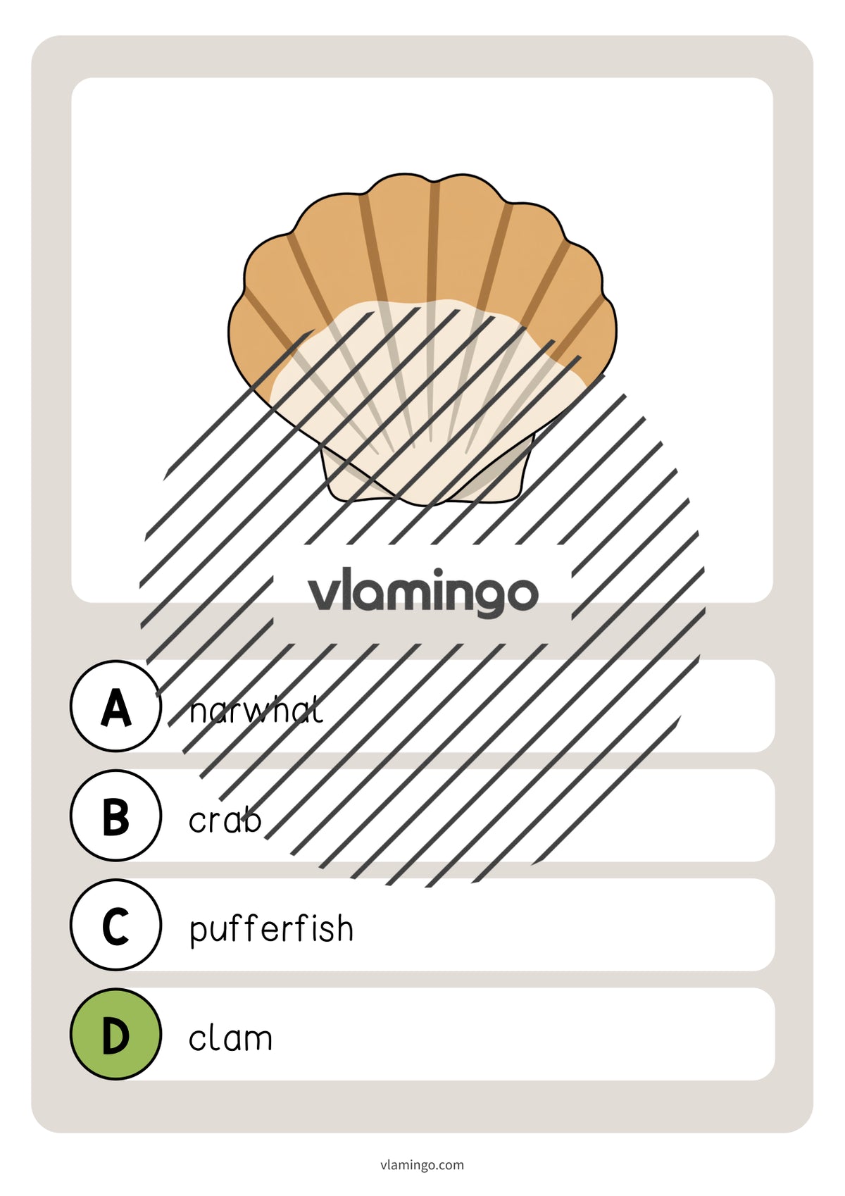 de englisch in the sea vocabulary quiz 026