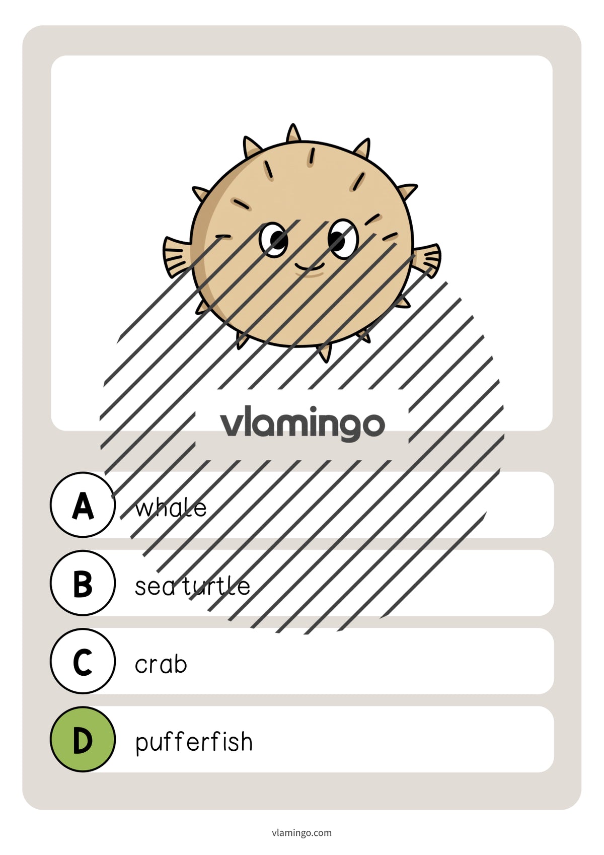 de englisch in the sea vocabulary quiz 030