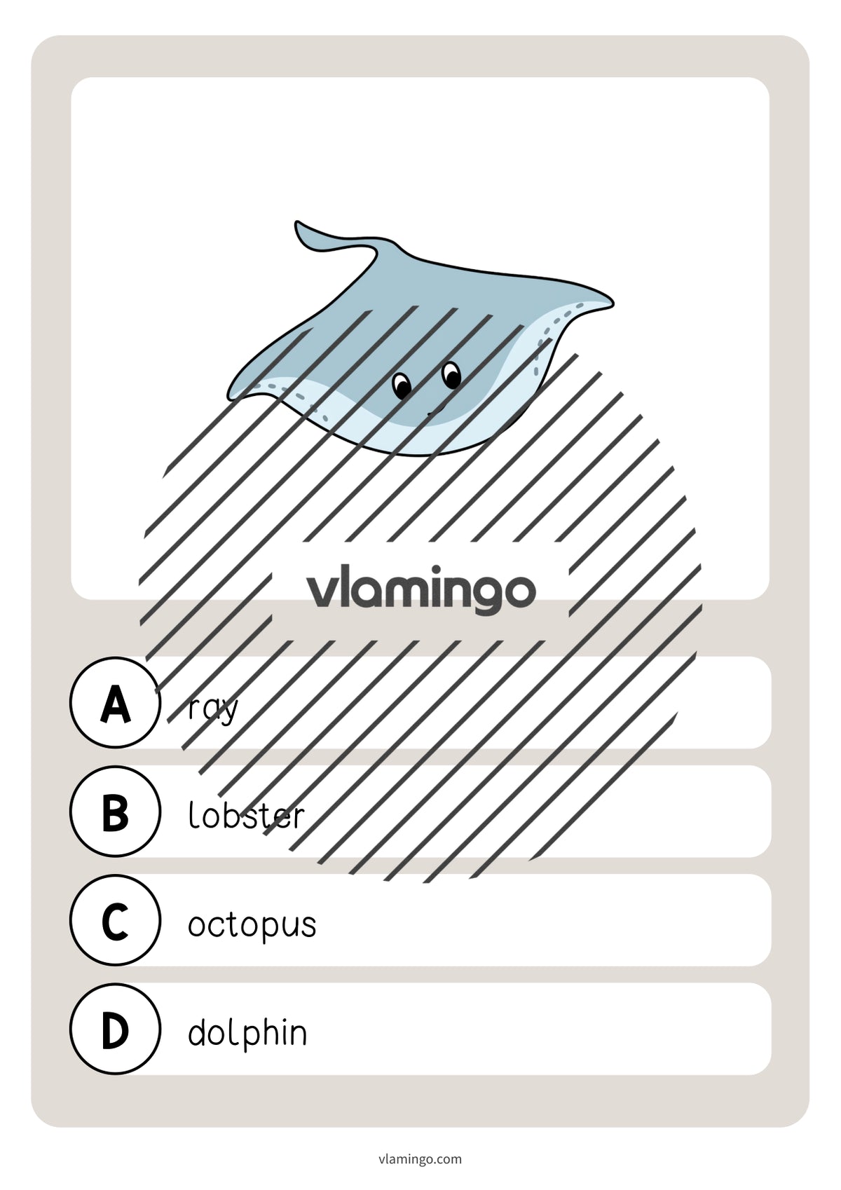 de englisch in the sea vocabulary quiz 031