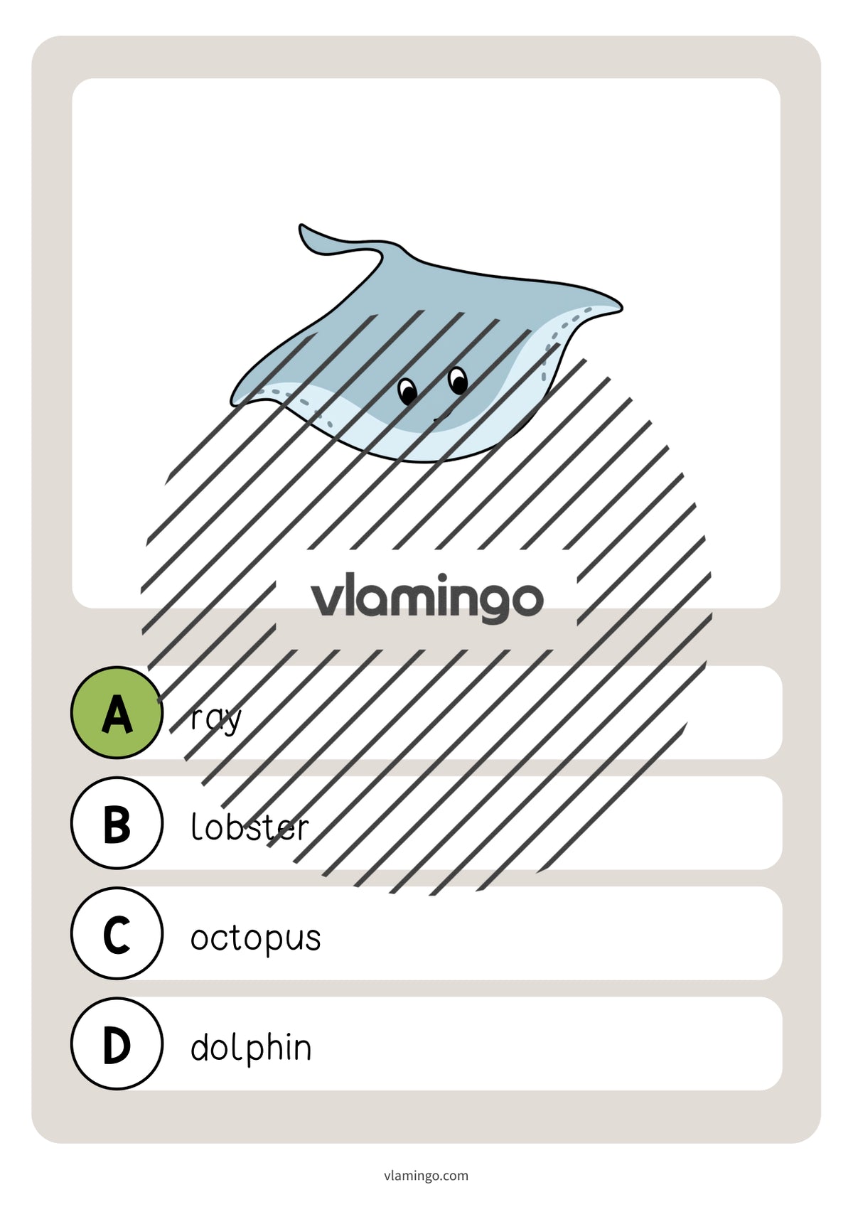 de englisch in the sea vocabulary quiz 032