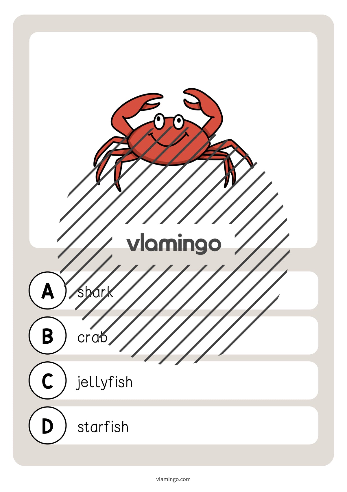 de englisch in the sea vocabulary quiz 033