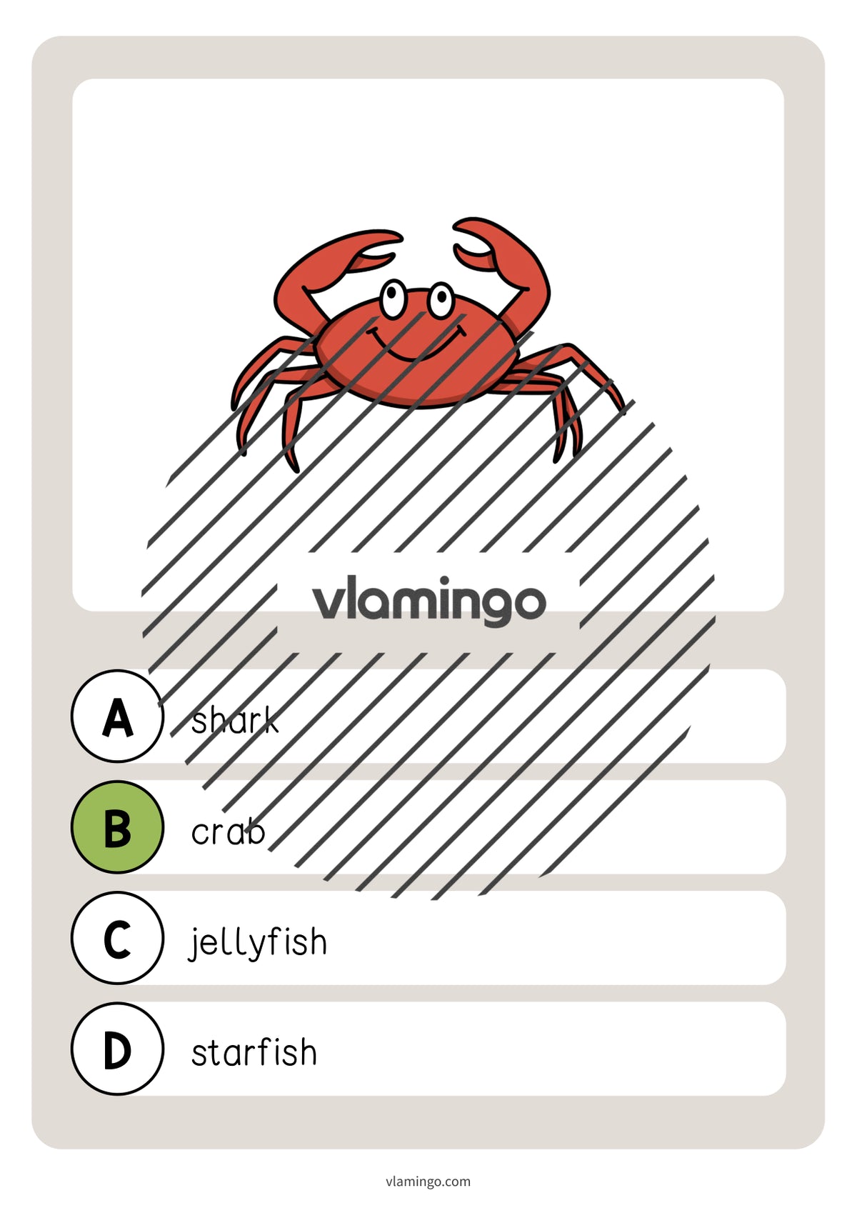 de englisch in the sea vocabulary quiz 034