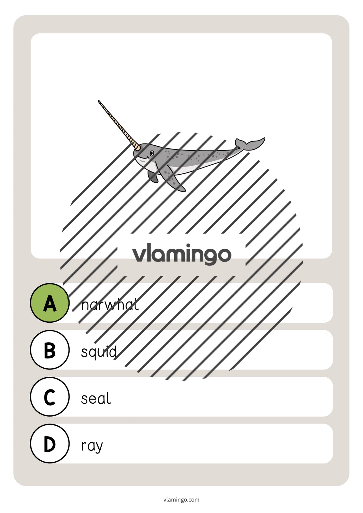 de englisch in the sea vocabulary quiz 038