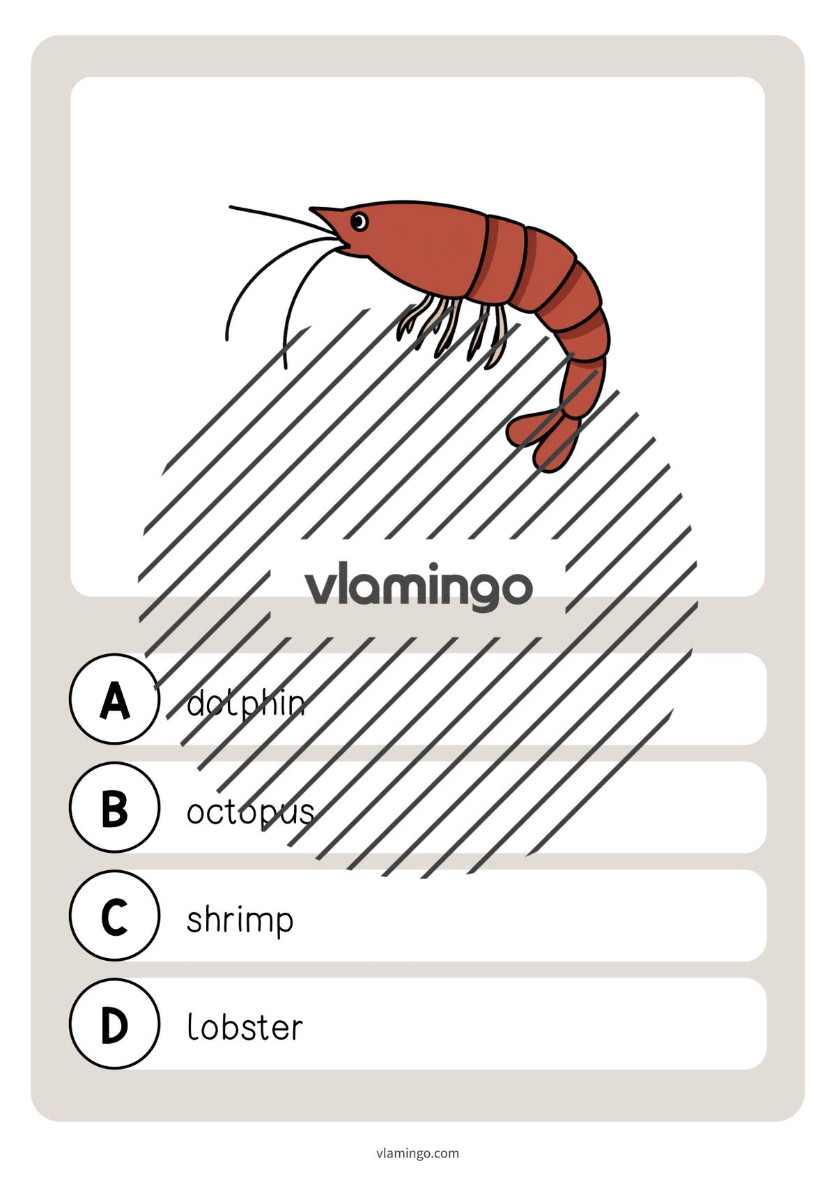 de englisch in the sea vocabulary quiz 039